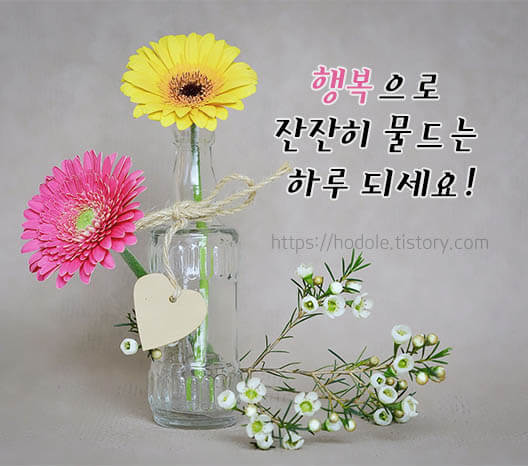 행복한하루