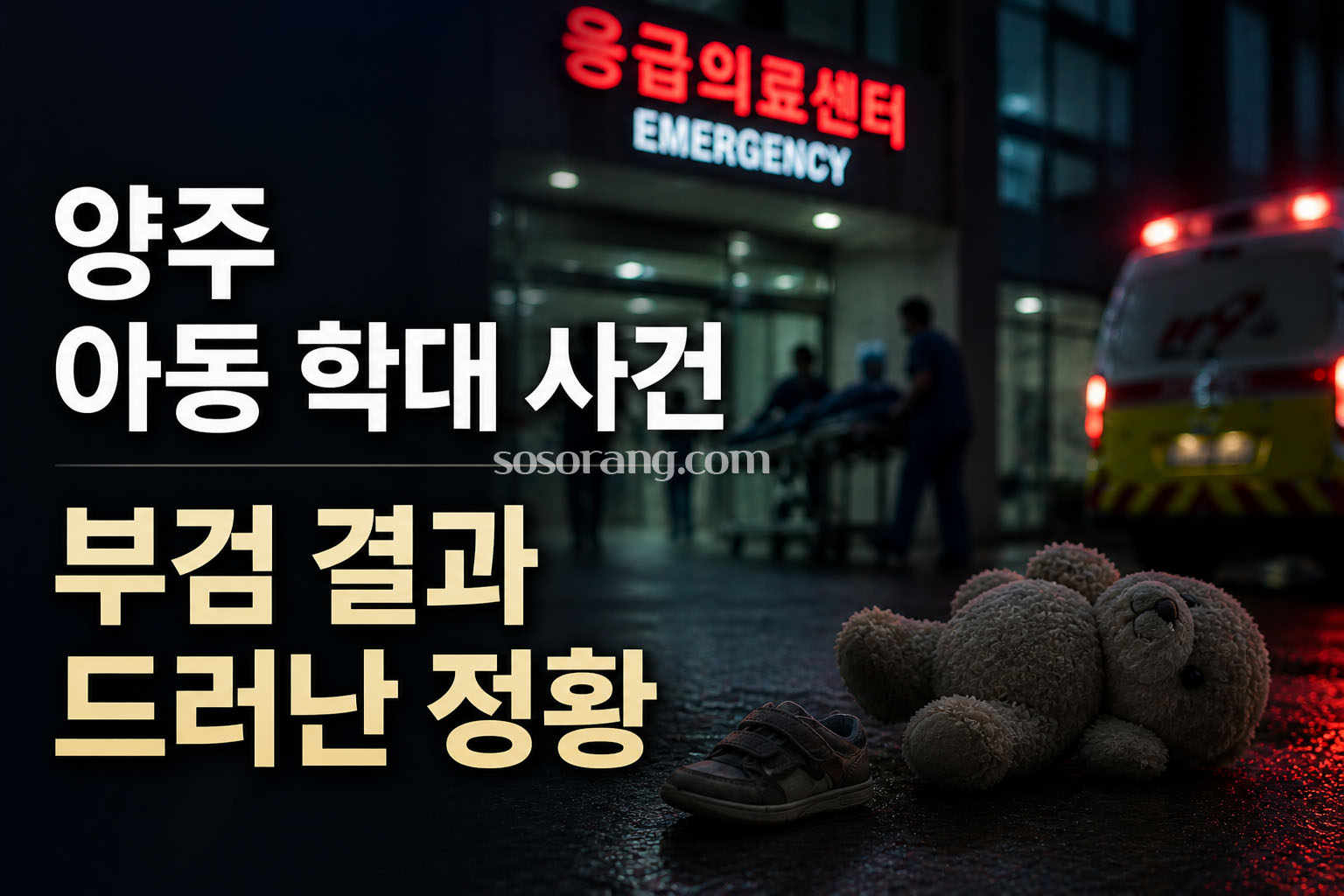 양주 아동 학대 사건 관련 응급실 외부 모습 이미지
