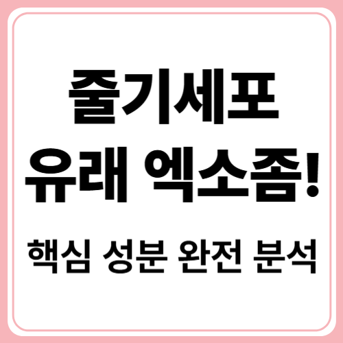 엑소좀 세럼 속 핵심 성분 완전 분석 – 이건 알고 쓰자!