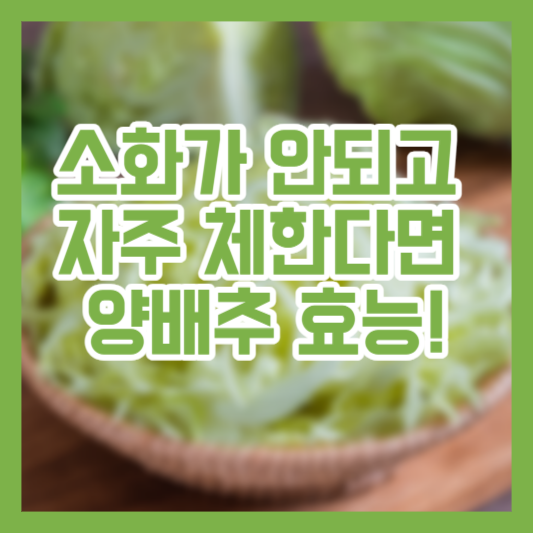 소화가 안되고 자주 체한다면, 양배추 효능!