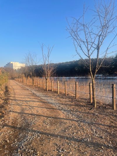 산책로 모습