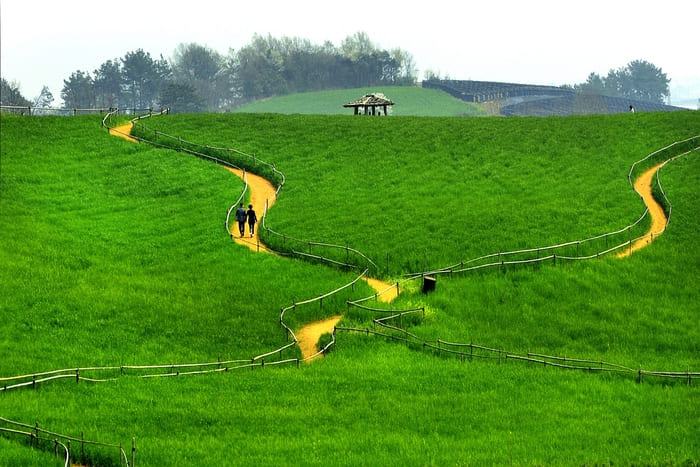 2024-고창-청보리밭-축제-일정,-기간,-장소,-길찾기,-숙소