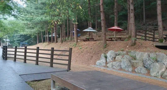 강원도, 아이와 함께 가기 좋은 횡성 계곡 TOP3