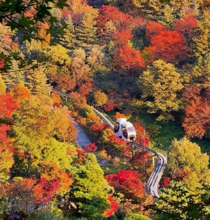 2024화담숲 가을단풍축제