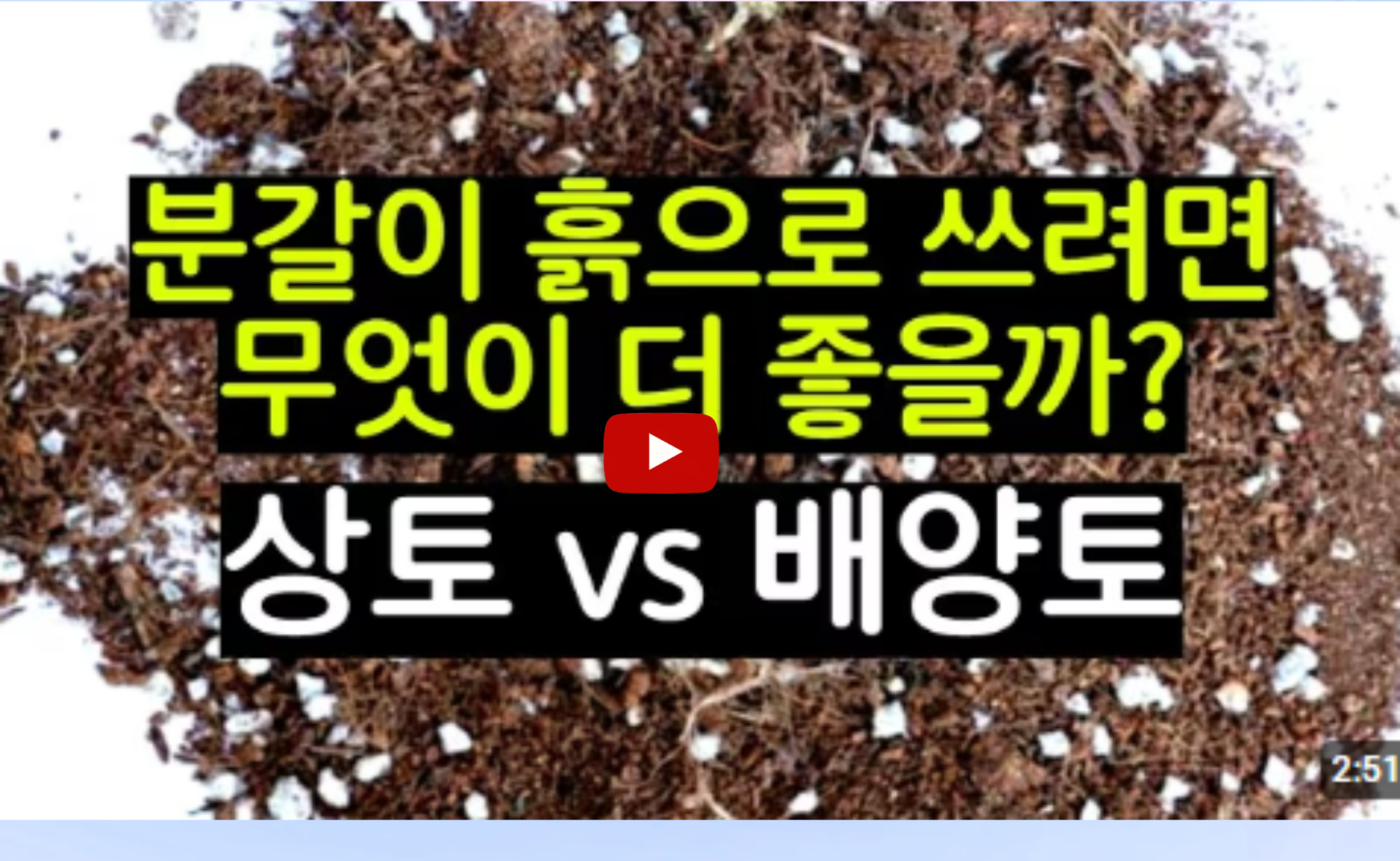 상토와 배양토의 선택 기준