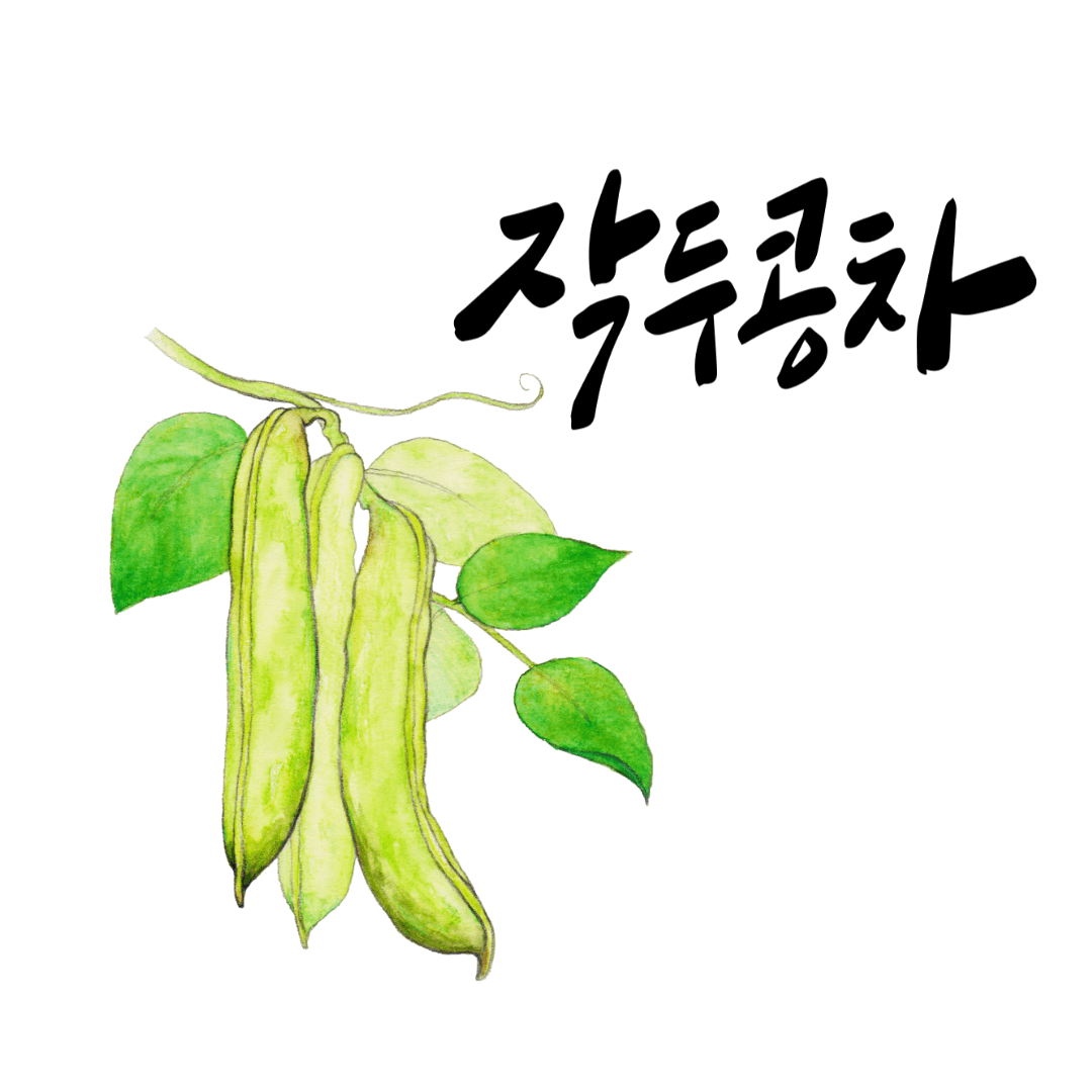 비염에 좋은 차 _ 녹두콩차