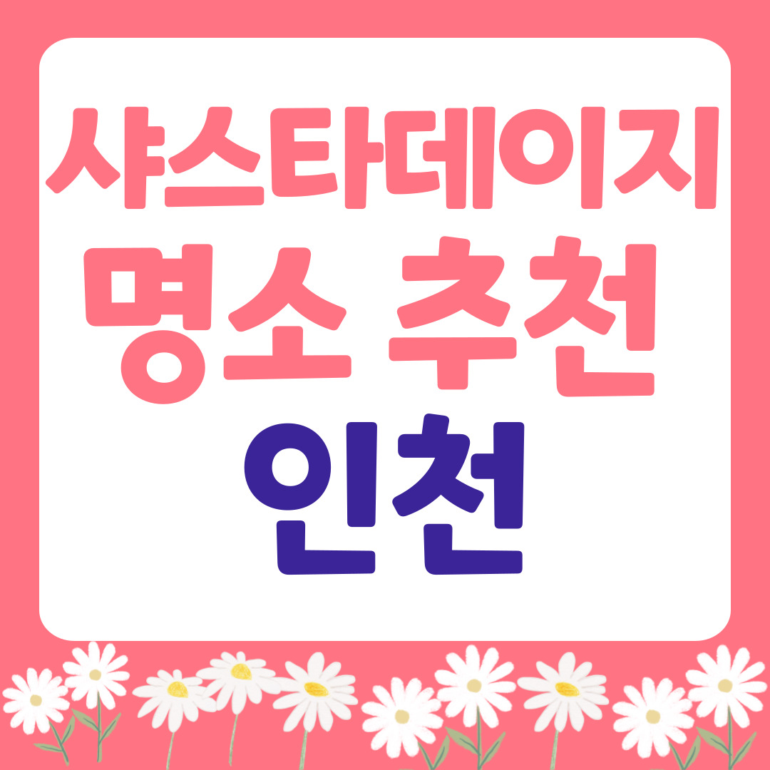 인천 샤스타데이지 명소 관련사진