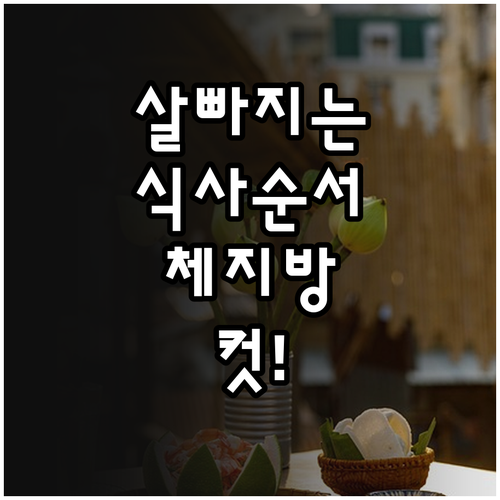 봄맞이 다이어트 식단 관리와 체지방 ..