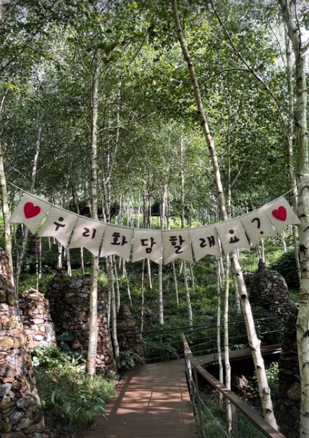 화담숲 수국축제