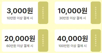 카카오페이 쿠폰 사진