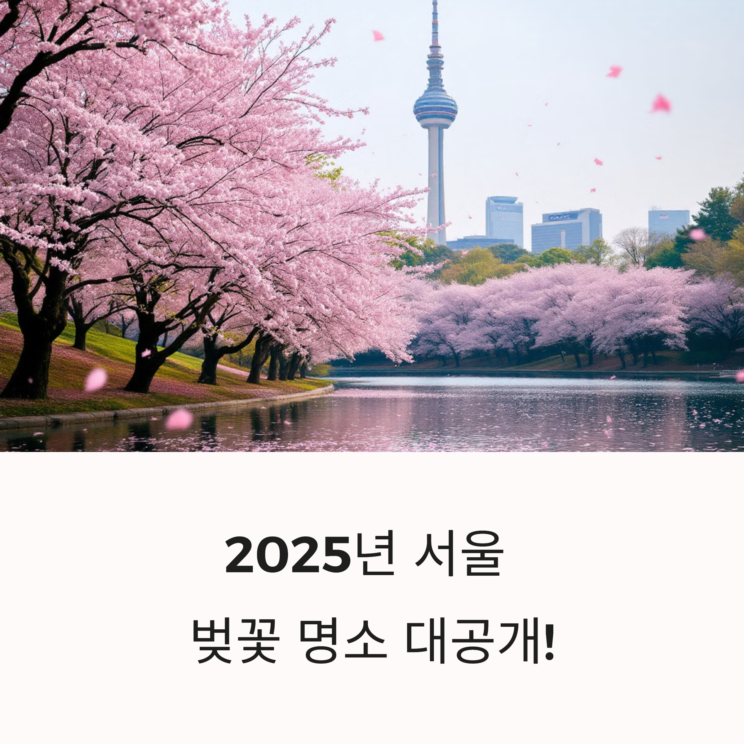 2025년 서울 벚꽃 명소