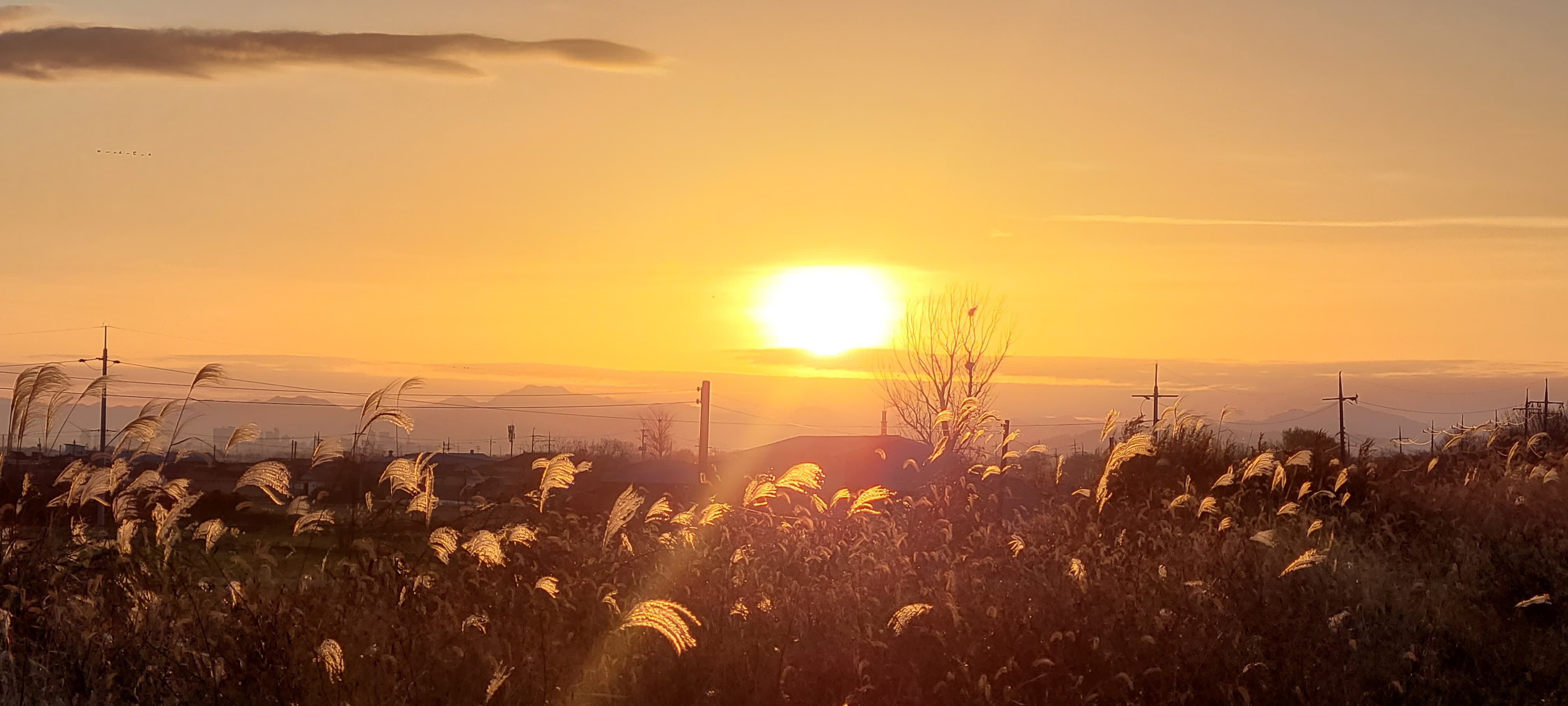 귀농이나 귀촌을 고려하는 데 있어 매력적인 요소