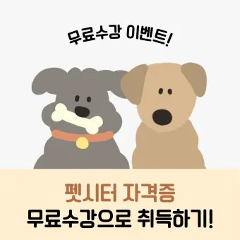 펫시터자격 교육과정 활동영역 창업준비 시니어 돌봄 일거리 찾기_14