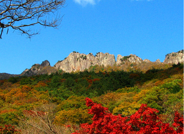 내장산 생태탐방원