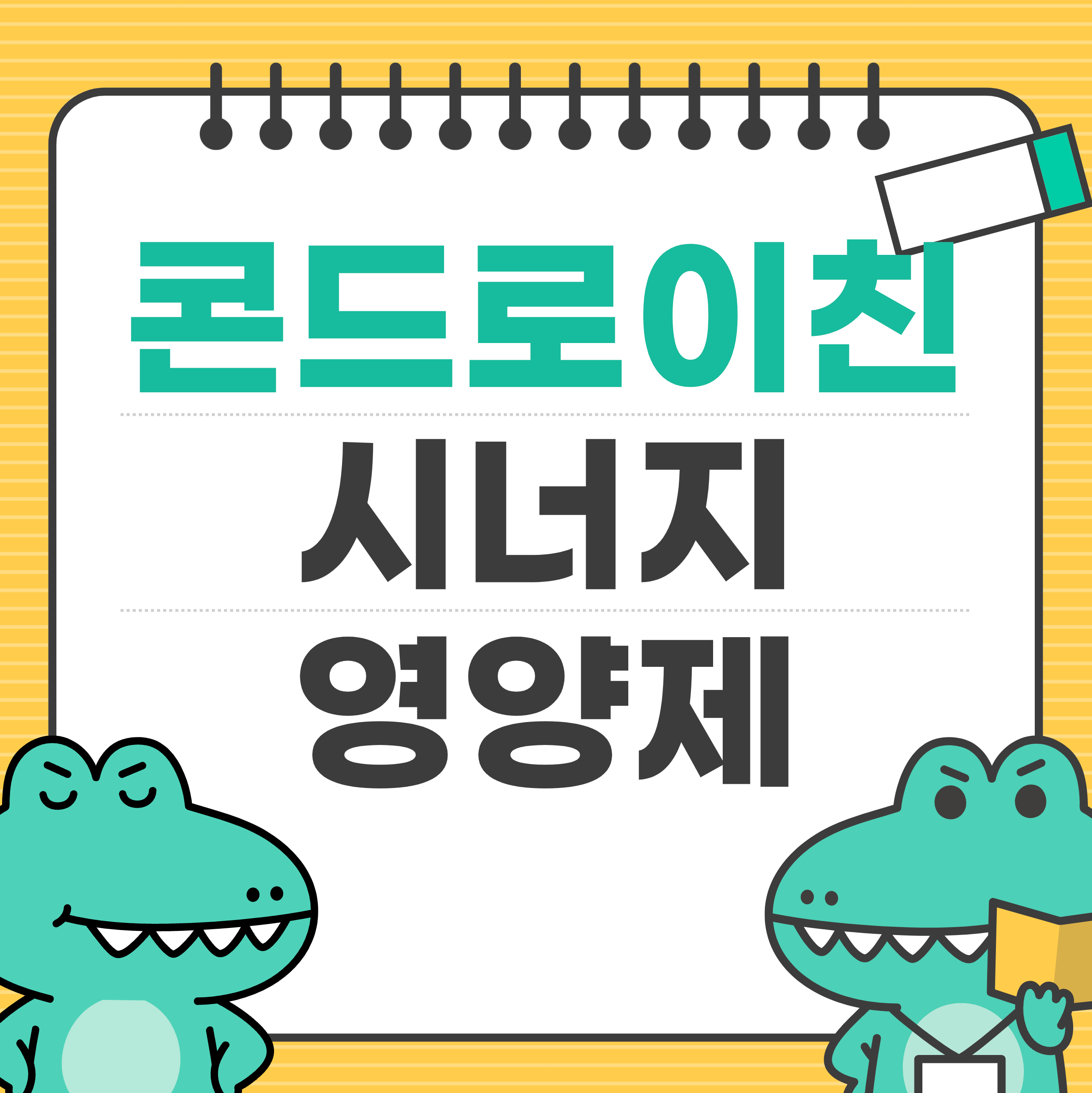 콘드로이친과 함께 복용하면 좋은 필수 영양제 추천!