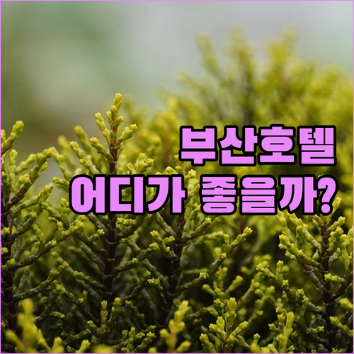 부산 오션뷰 호텔 TOP 3 비교 분