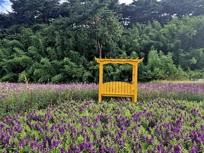 안면도-자연휴양림