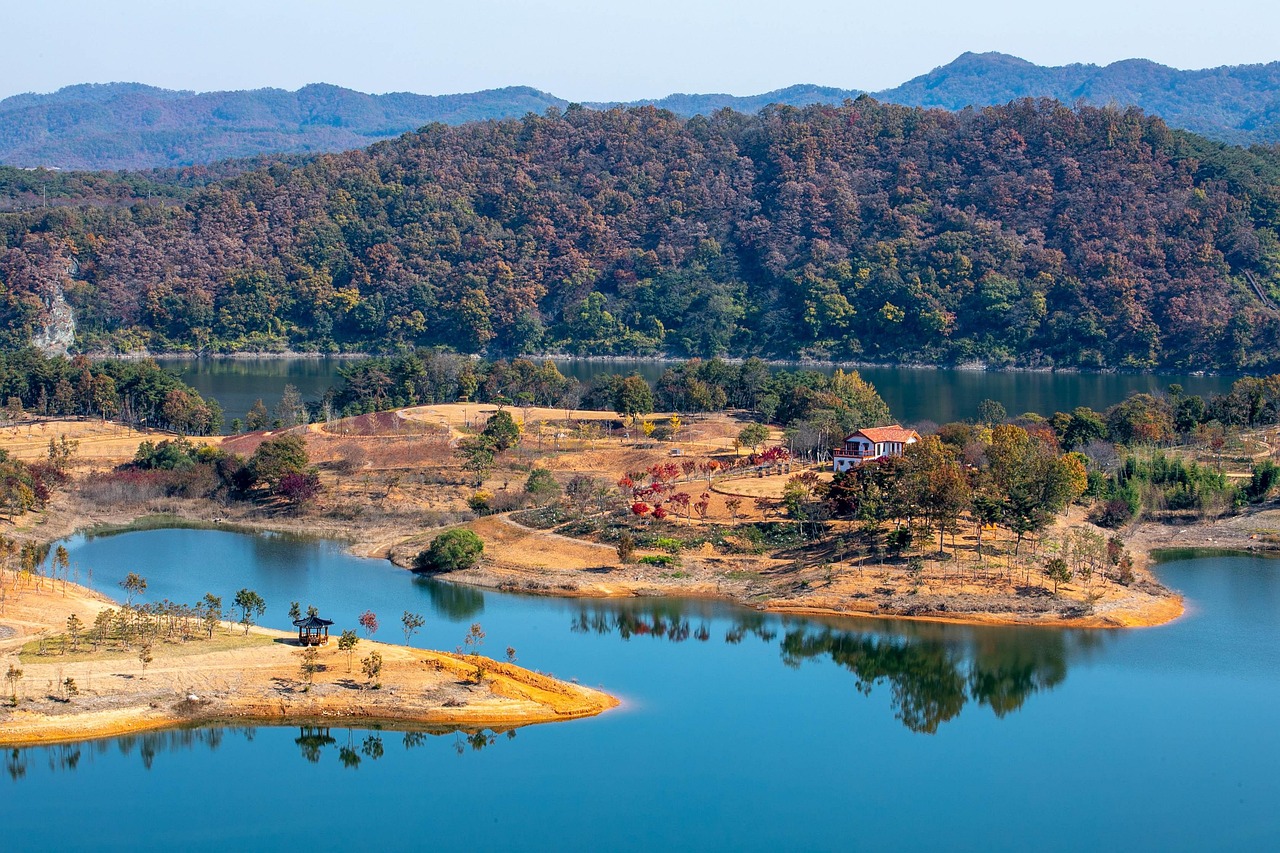 백사실 계속 관련 사진
