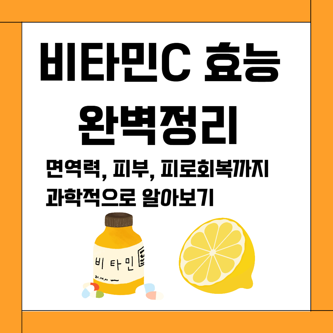 비타민C 효능 완벽정리: 면역력, 피부, 피로회복까지 과학적으로 알아보기