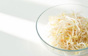 콩나물무침 레시피