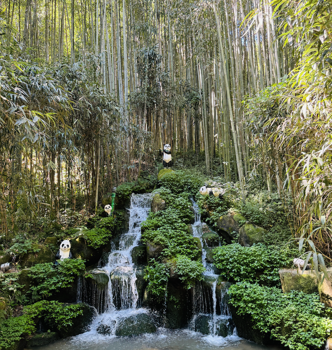 죽녹원 내부 풍경