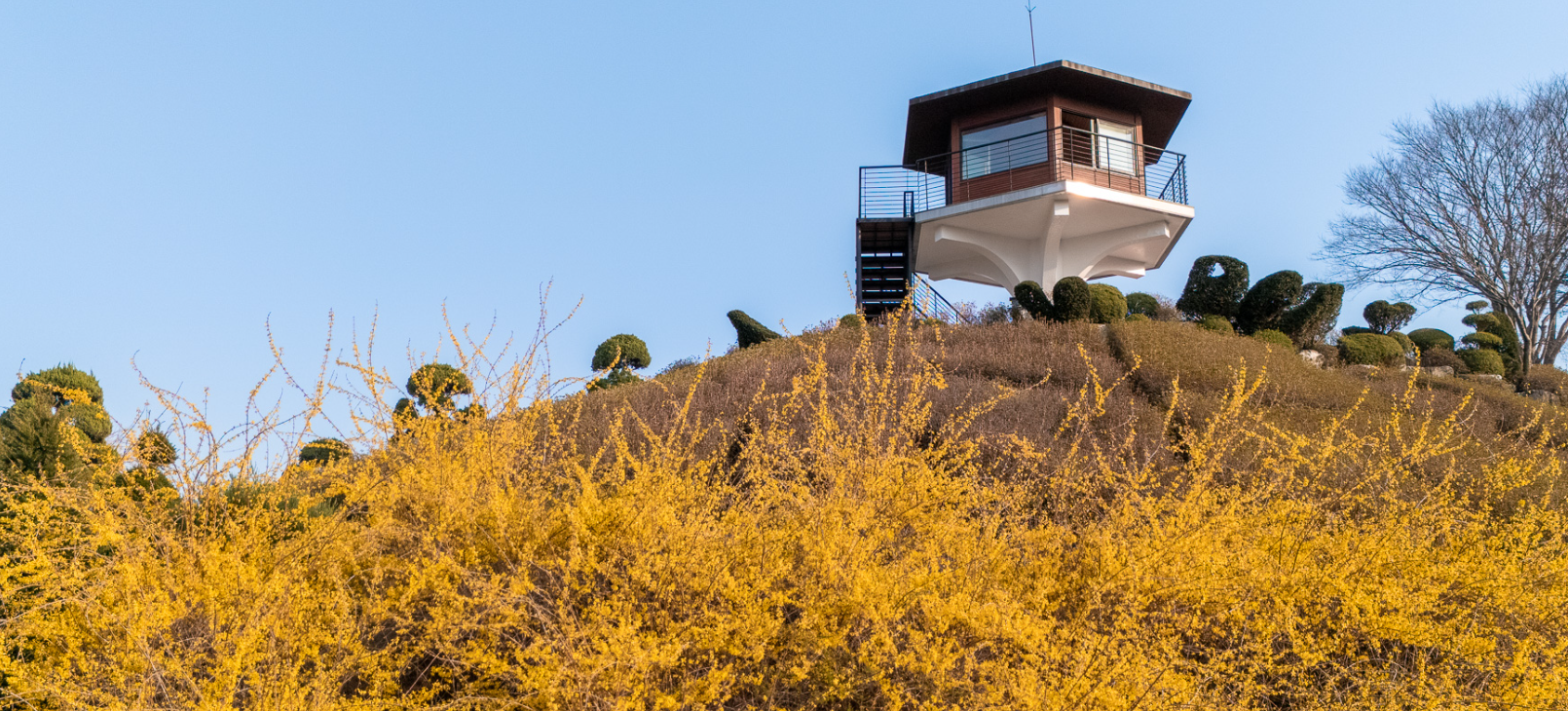 베어트리파크 봄꽃 축제 총정리
