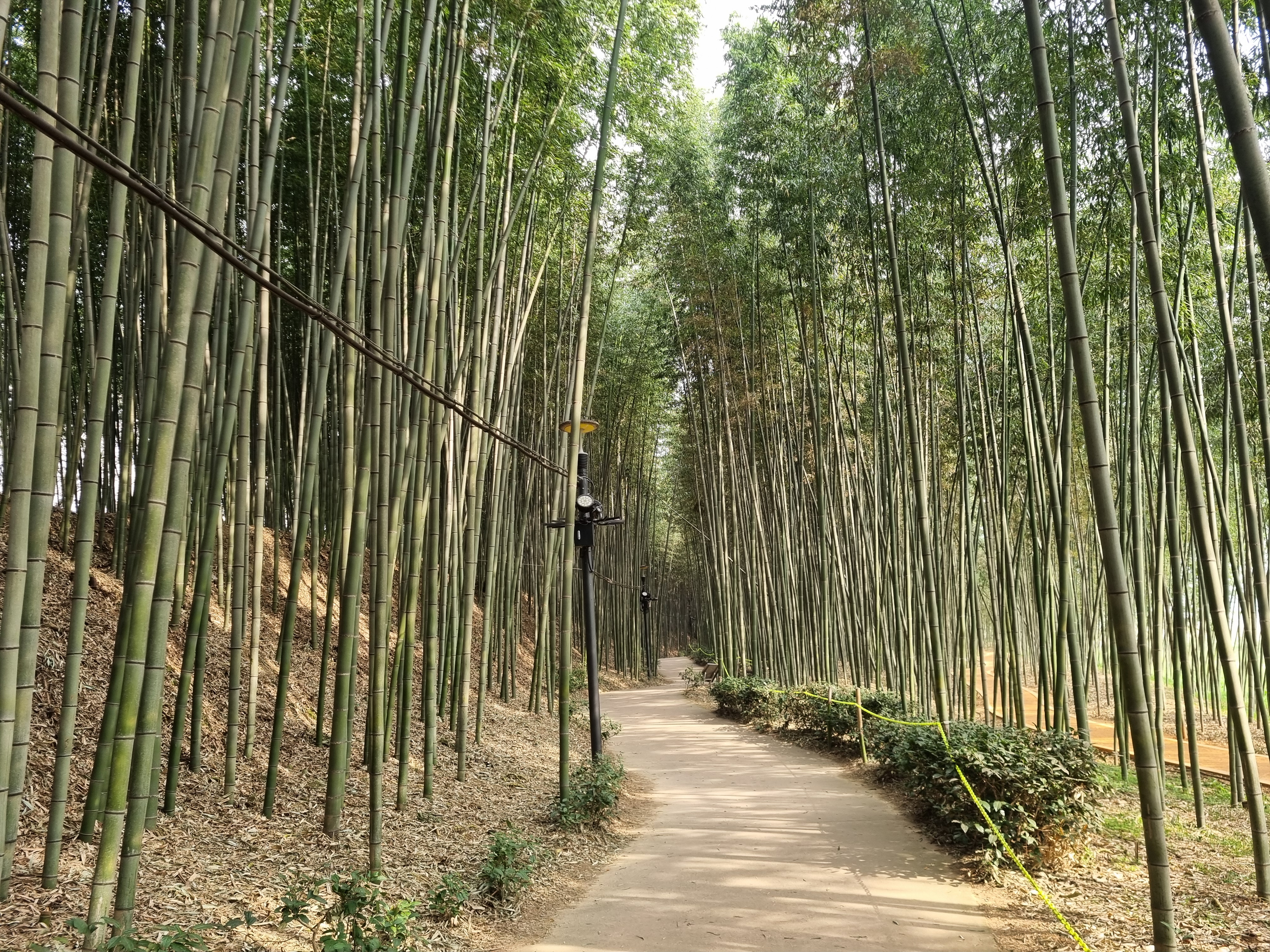 섬진강 조용한 풍경 사진 (섬진강 데숲길, '26.3)