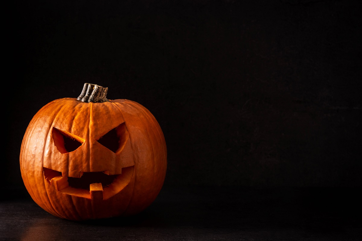 신장의 기능과 신장에 좋은 음식