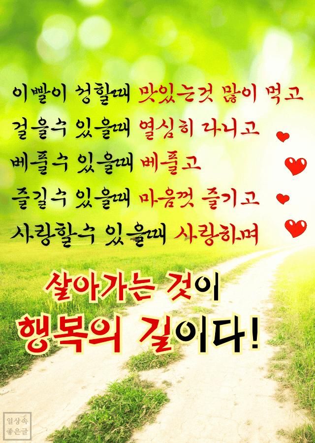 행복의 길 좋은 글귀 감성 이미지