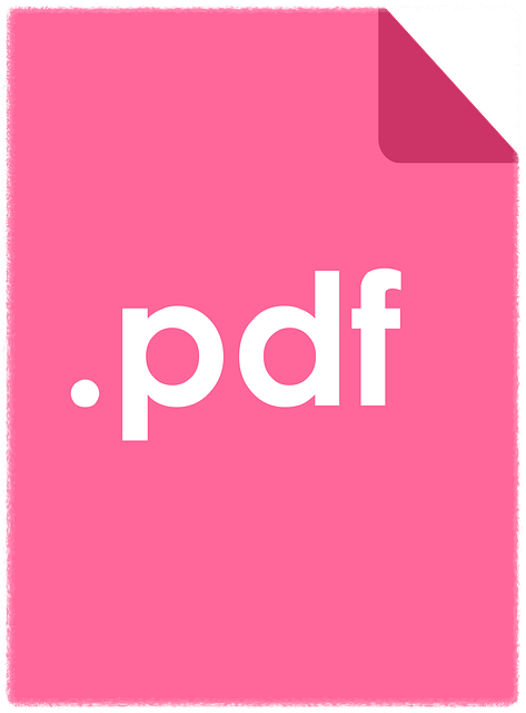 OCR 기능은 어떤 상황에서 사용하나요?