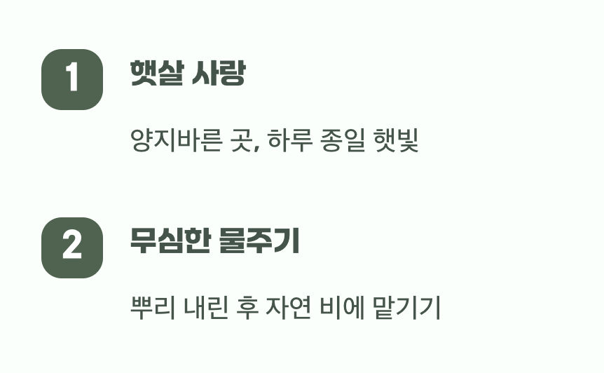 최고의 관리법&amp;#44; 햇살과 무심함