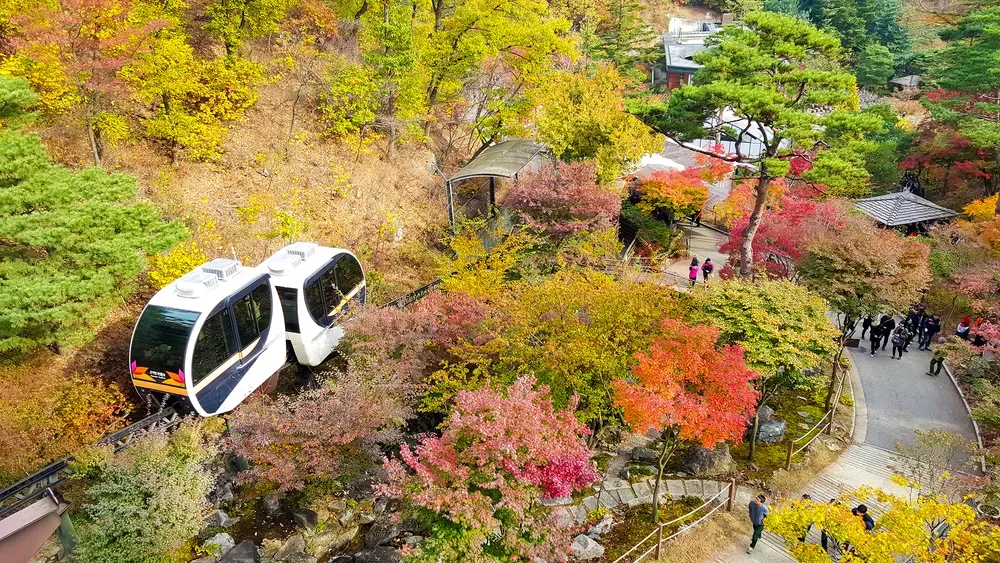 화담숲 예약하기 예약 방법 입장료 모노레일_4