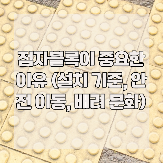 점자블록이 중요한 이유 (설치 기준, 안전 이동, 배려 문화)