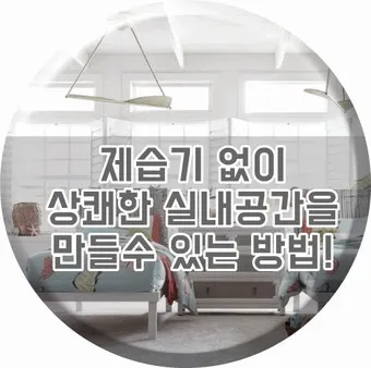 제습기 없이 습기 제거 끝 숯 염화칼슘 등 천연 제습제 활용법 완벽 가이드_18