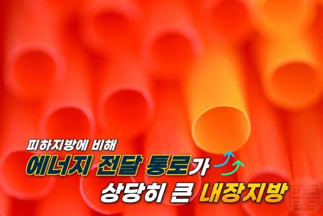 특정 부위 살빼기 가슴 얼굴 먼저