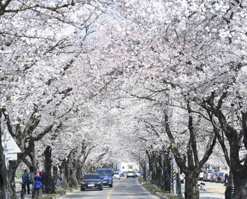 대구 달성