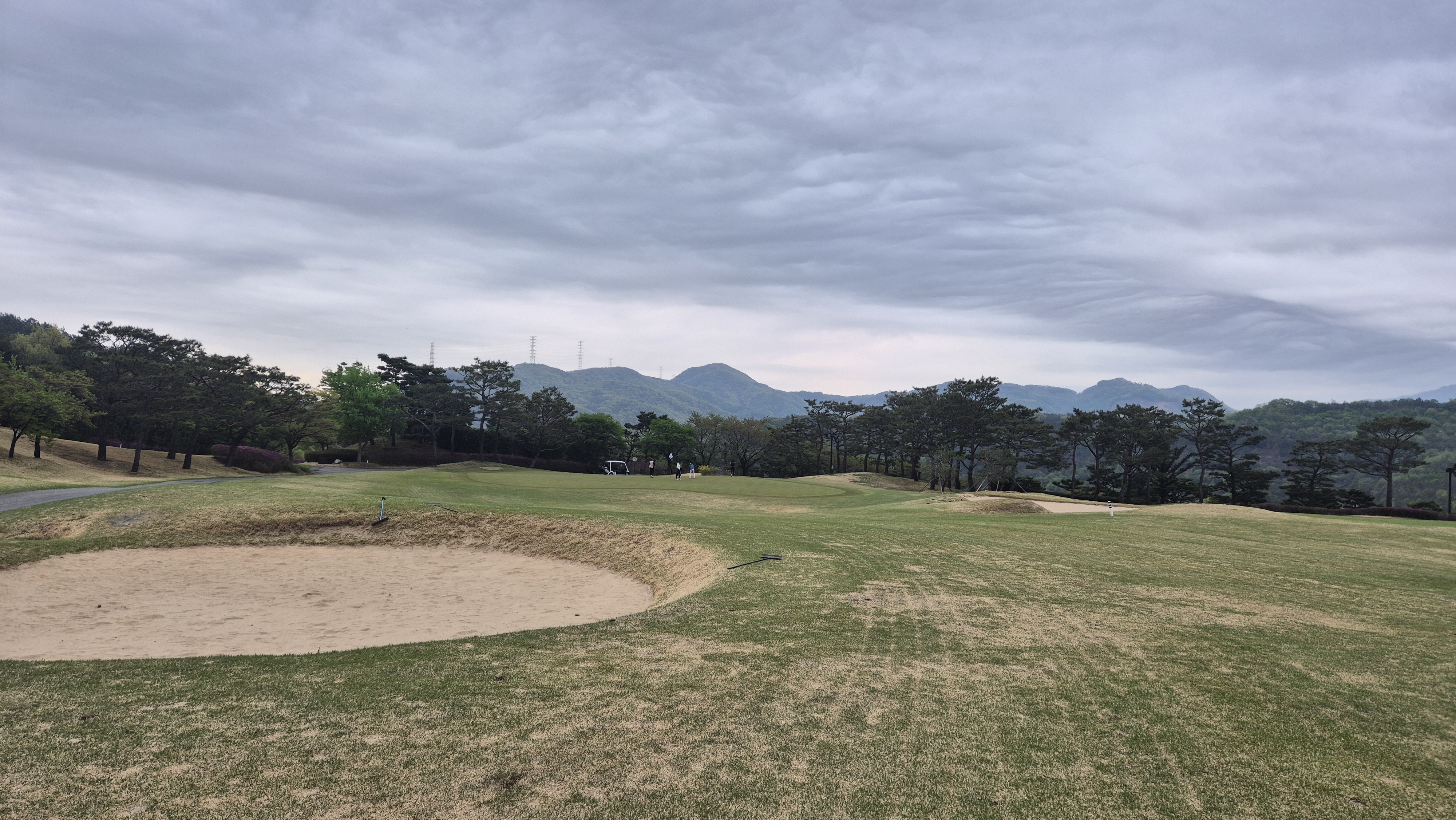 시그너스cc 코튼-라미 코스 사진 및 공략 정보