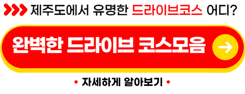 제주도 가볼만한곳 10곳 여행지 (실제후기)