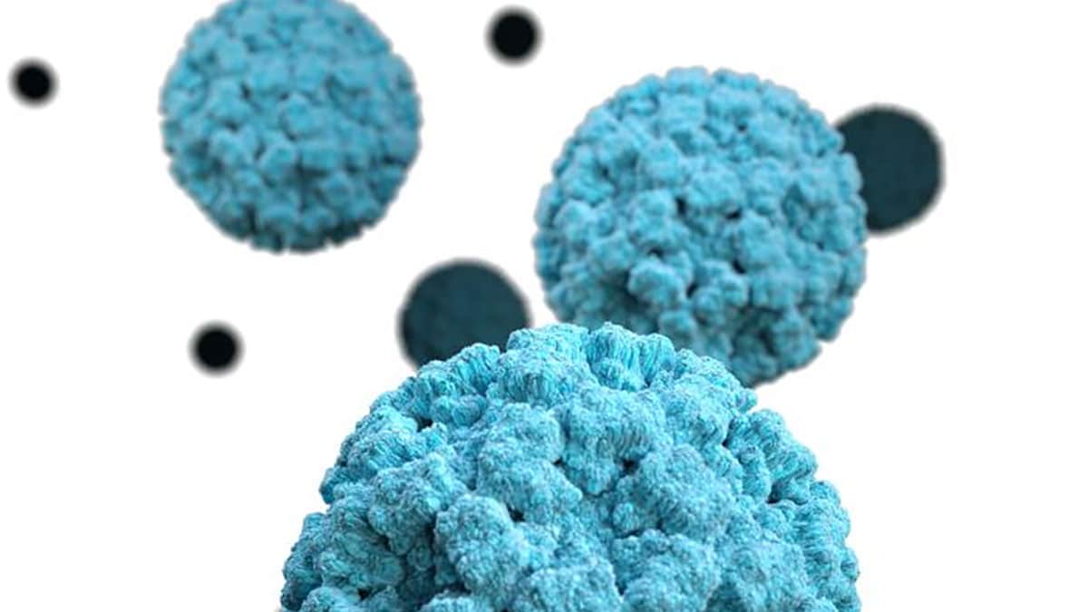 &copy; Norovirus, CDC(https://www.cdc.gov/)