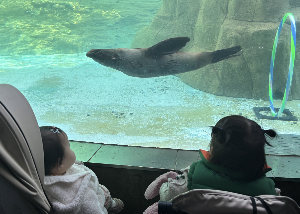 2026 초등 돌봄교실 확대 정책｜맞벌이 가정 방과후 돌봄 변화 정리