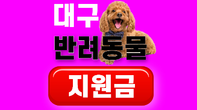 대구 반려동물 지원금