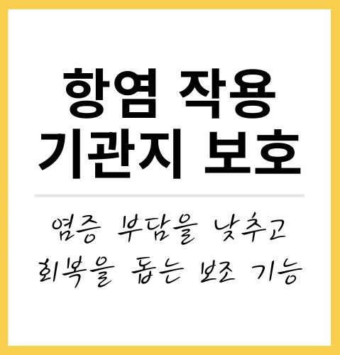 프로폴리스 효능