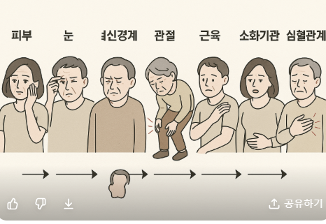 몸의 노화 순서, 어디가 먼저 늙을까? 관련 사진