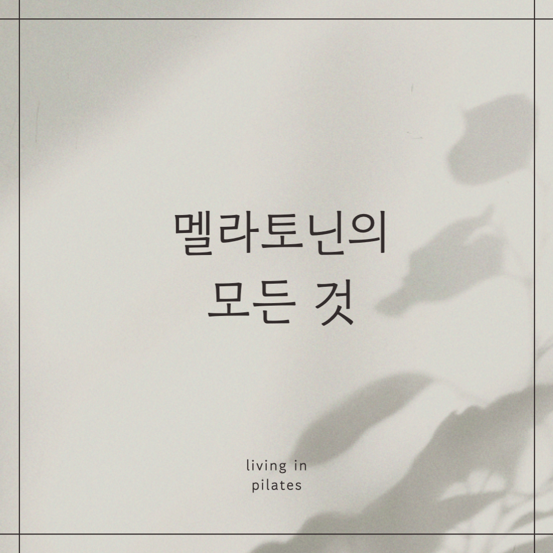 멜라토닌의 모든 것