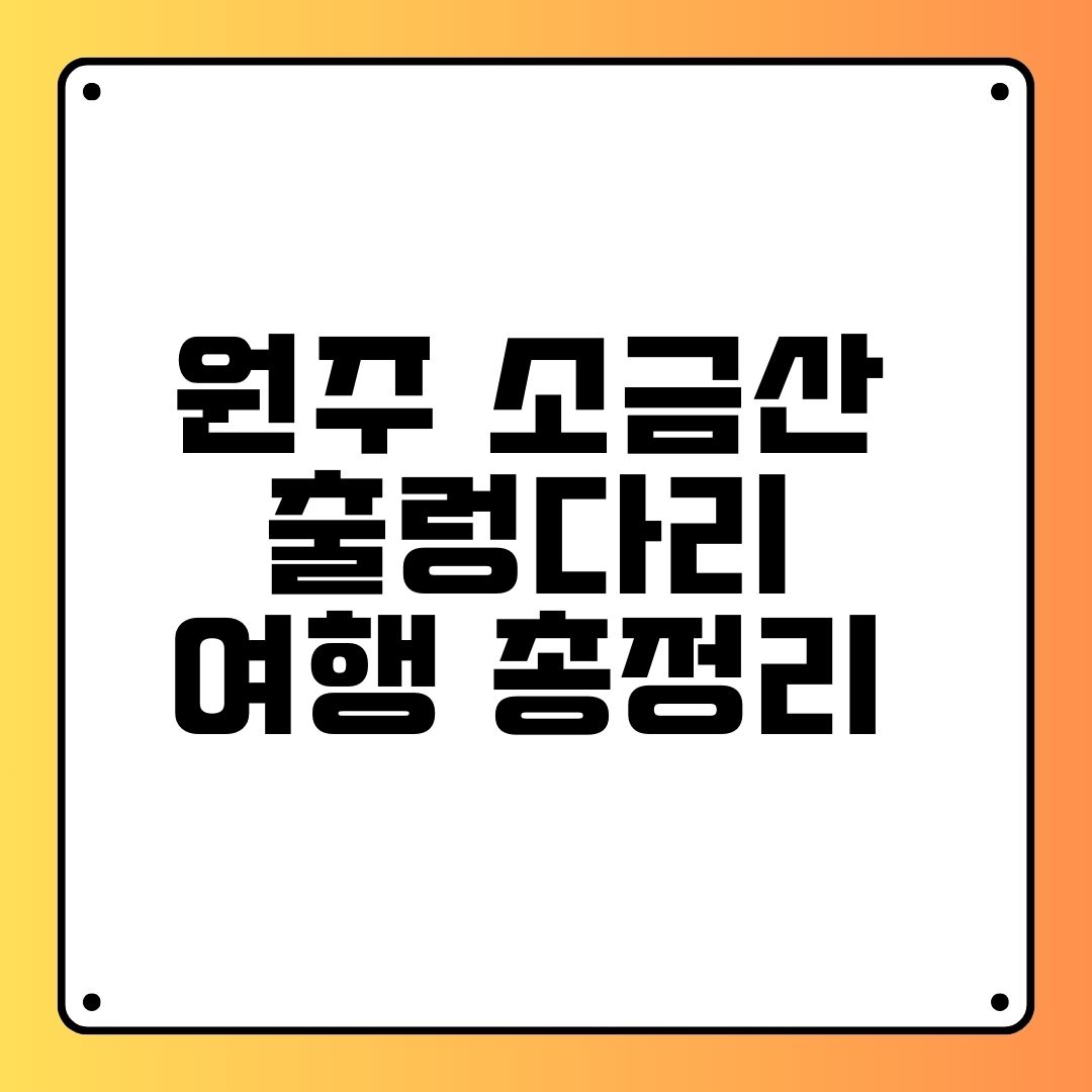 원주 소금산 출렁다리 여행 총정리