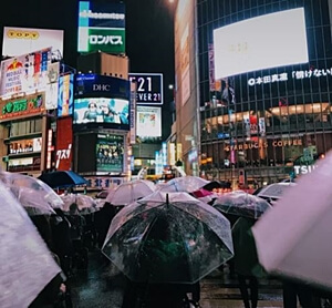 비-내리는-길