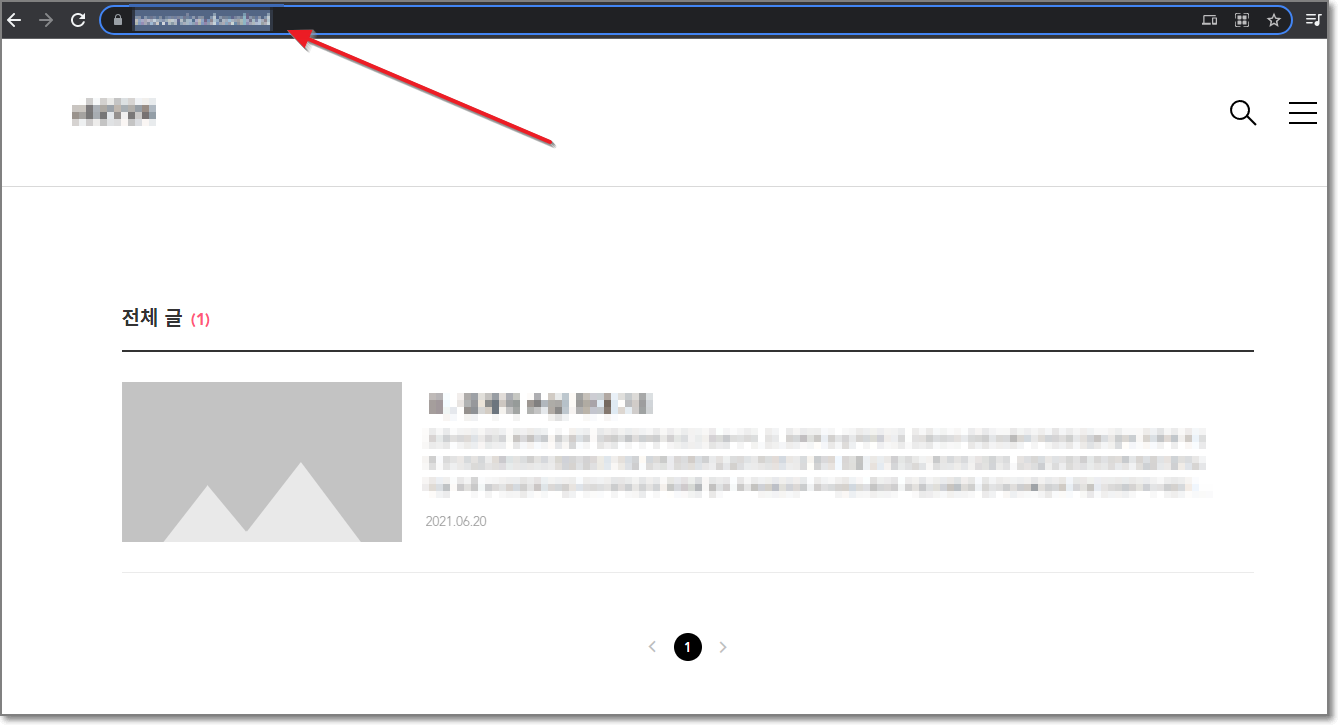 주소창에 도메인 입력