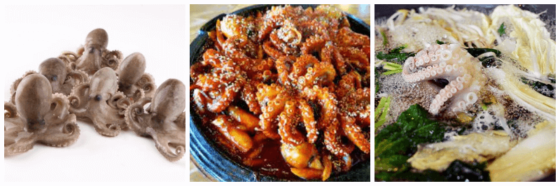 쭈꾸미, 쭈꾸미볶음, 쭈꾸미샤브샤브 사진