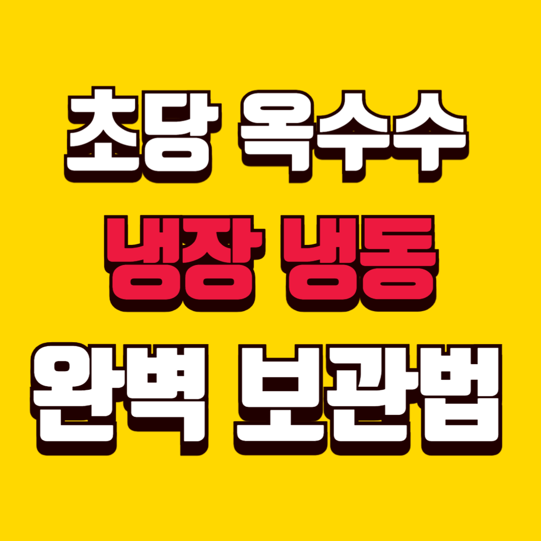 초당 옥수수 냉장 냉동 완벽 보관법