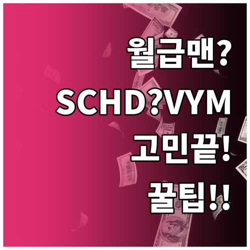 월급쟁이를 위한 SCHD VYM 선택..